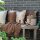 Knit Factory Uni Decke 160x130 cm Glatt Anthrazit