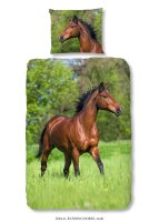 good morning Renforcé Bettwäsche 2 teilig Bettbezug 140 x 220 cm Kopfkissenbezug 60 x 70 cm Running horse 2684.99.01 Multi