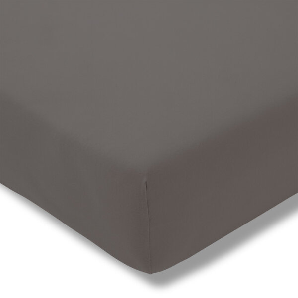 Estella Fein-Jersey / Single 1 teilig Spannbetttuch 100 x 220 cm Spannbettlaken graphit
