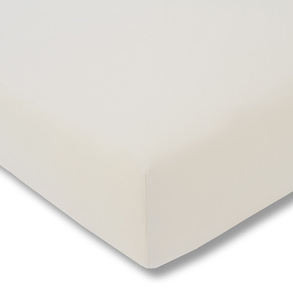 Estella Fein-Jersey / Single 1 teilig Spannbetttuch 200/220 cm Spannbettlaken elfenbein