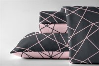 Dormisette Biber Bettwäsche 2tlg grau rosa 2294-93 | Bettwäsche-Set aus 100% Baumwolle | 2 teilige Wende-Bettwäsche 155x220 cm & Kissen 80x80 cm | Geometrisches Muster Linien