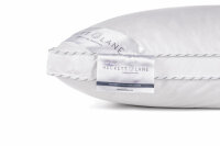 Heckett and Lane  Platinum boxkussen 80/80 90% WGD 680 Gr, None Platinum-90-WGD
