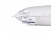Heckett and Lane  Platinum puntkussen 40/80 90% WGD 300 Gr, None Platinum-90-WGD