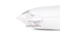 Heckett and Lane  Gold puntkussen 40/80 100% Hollowfibre 450 Gr, None Gold-100-Hollow-Fibre