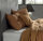 Zo!Home Bettwäsche Satinado 200x220 100% Baumwolle Mako-Satin Cognac Brown 60x70 Kissen