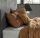 Zo!Home Mako Satin Satinado 2x Kissenbezug 80x80 Cognac Brown Uni Cognac-Brown