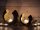 Soma Kerzenhalter 24-teilig Set 2 x 12 VE Teelichthalter Kerzenständer Omega schwarz matt innen vergoldet