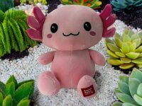 KAWAII Kuties Plüsch Kuscheltier Plüsch Plüschfigur Teddybär Stofftier für Kinder 24 cm Axolotl Anime Kawaii Plush Stofftier Cute Plushie Halloween Geschenke