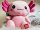 KAWAII Kuties Plüsch Kuscheltier Plüsch Plüschfigur Teddybär Stofftier für Kinder 24 cm Axolotl Anime Kawaii Plush Stofftier Cute Plushie Halloween Geschenke