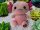 KAWAII Kuties Plüsch Kuscheltier Plüsch Plüschfigur Teddybär Stofftier für Kinder 24 cm Axolotl Anime Kawaii Plush Stofftier Cute Plushie Halloween Geschenke