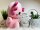 KAWAII Kuties Plüsch Kuscheltier Plüsch Plüschfigur Teddybär Stofftier für Kinder 24 cm Axolotl Anime Kawaii Plush Stofftier Cute Plushie Halloween Geschenke