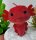 Axolotl Echse Molch 30 cm rot Kuscheltier Figur Plüsch Tintenfisch Spiel Puppe XL Plüschtier