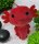 Axolotl Echse Molch 30 cm rot Kuscheltier Figur Plüsch Tintenfisch Spiel Puppe XL Plüschtier