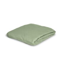 Irisette Mako-Jersey Spannbetttuch Jupiter 0008 salbei...