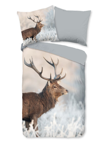 Good Morning Renforcé Bettwäsche 135 X 200 cm + 1- 80 X 80 cm Wess reindeer grau