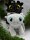 Kuscheltier Dragons Ohnezahn 24 cm Drachenzähmen leicht gemacht Plüschtier Stofftier Anime Plush Stofftier Cute Plushie Halloween Weihnachten Geschenke für Kinder