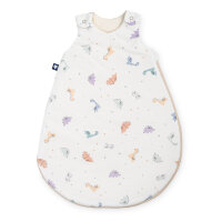 Julius Zöllner Little Dinos Babyschlafsack Sky 56x62