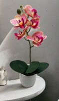 Kunstorchidee im Topf Bestseller Höhe 38 cm Künstliche Orchidee Kunstpflanze Pflanze Kunstblume rosa pink gelb weiß