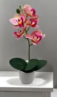 Kunstorchidee im Topf Bestseller Höhe 38 cm Künstliche Orchidee Kunstpflanze Pflanze Kunstblume rosa pink gelb weiß