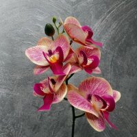 Kunstorchidee im Topf Bestseller Höhe 38 cm Künstliche Orchidee Kunstpflanze Pflanze Kunstblume rosa pink gelb weiß