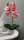 Kunstorchidee im Topf Bestseller Höhe 38 cm Künstliche Orchidee Kunstpflanze Pflanze Kunstblume rosa pink gelb weiß