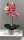 Kunstorchidee im Topf Bestseller Höhe 38 cm Künstliche Orchidee Kunstpflanze Pflanze Kunstblume rosa pink gelb weiß