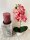 Kunstorchidee im Topf Bestseller Höhe 38 cm Künstliche Orchidee Kunstpflanze Pflanze Kunstblume rosa pink gelb weiß