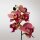 Kunstorchidee im Topf Bestseller Höhe 38 cm Künstliche Orchidee Kunstpflanze Pflanze Kunstblume rosa pink gelb weiß