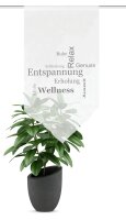 HOME WOHNIDEEN Fensterbehang Voile Digitaldruck...
