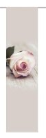 Home Wohnideen Schiebevorhang Dekostoff Digitaldruck
Rosy...
