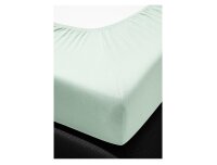 Irisette Mako-Jersey Betttuch Jupiter 0008  mint  100 x 200 cm 8-39 mint