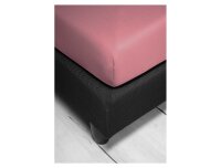 Irisette Frottier-Stretch Spannbetttuch Orion 0009 fraise 100 x 200 cm + 100x200 cm