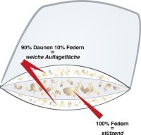 Häussling Daunen und Feder Bettdecke Königstraum 220 x 240 cm Kassettenbett 6x7 mit Biese 2 cm Innensteg